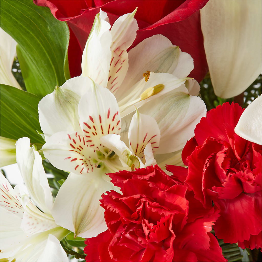 Holiday Season Bouquet –  Nextdayflowers.net, Tontitown AR