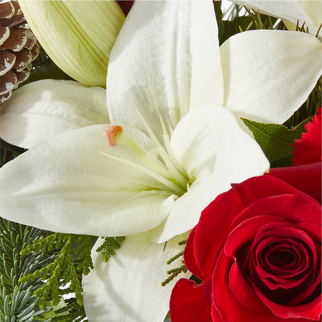 Oh So Jolly Bouquet –  Nextdayflowers.net, Tontitown AR