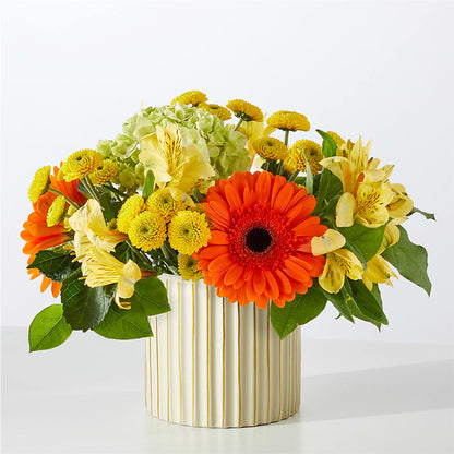Autumn Sunshine Bouquet with Ivory Vase –  Nextdayflowers.net, Tontitown AR