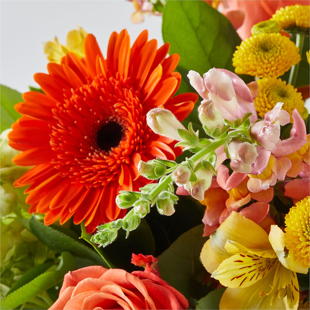 Autumn Sunshine Bouquet –  Nextdayflowers.net, Tontitown AR