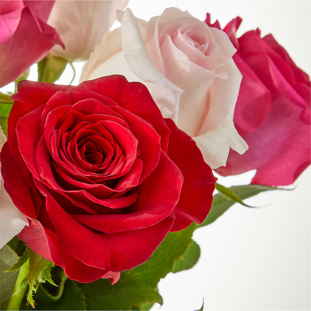 Charming Rose Bouquet –  Nextdayflowers.net, Tontitown AR