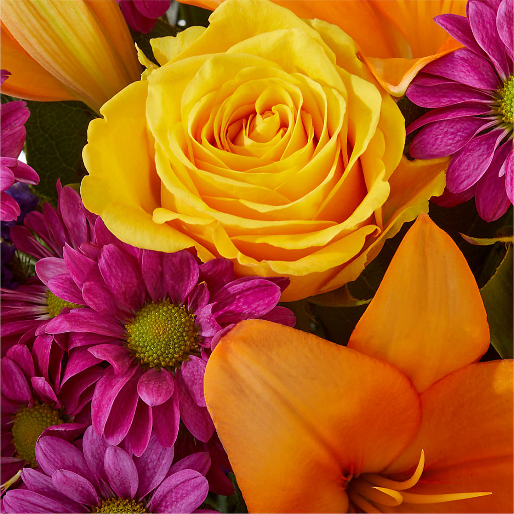 Colorful Visions Bouquet –  Nextdayflowers.net, Tontitown AR