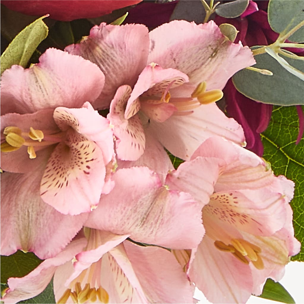 Berry Cobbler Bouquet –  Nextdayflowers.net, Tontitown AR
