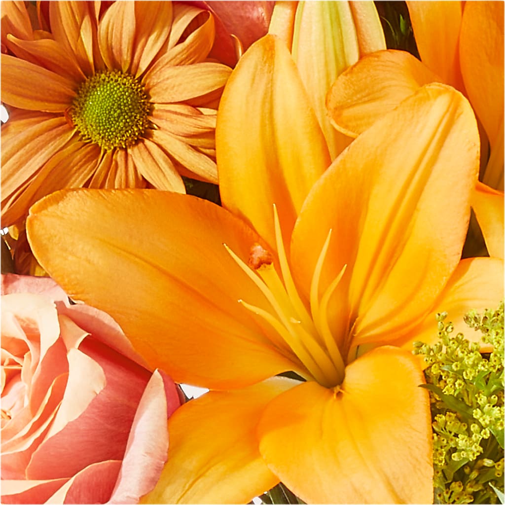 Harvest Hayride Bouquet –  Nextdayflowers.net, Tontitown AR