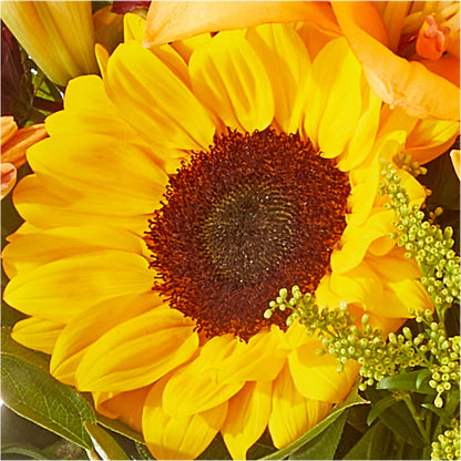 Seasons Change Bouquet –  Nextdayflowers.net, Tontitown AR