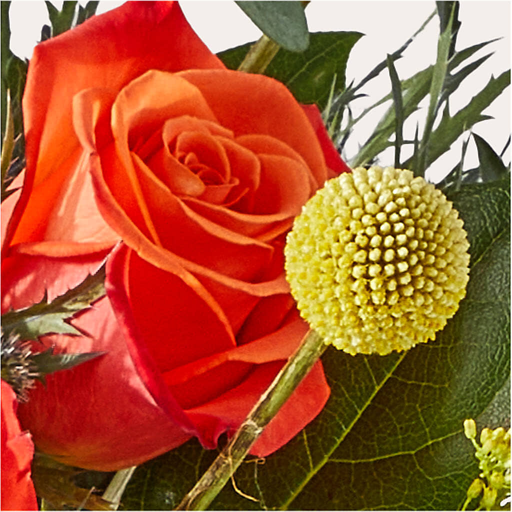 Disco Bouquet –  Nextdayflowers.net, Tontitown AR