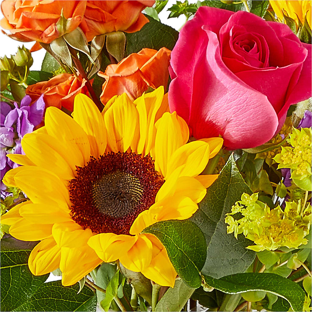 Vibrant Greetings Bouquet –  Nextdayflowers.net, Tontitown AR