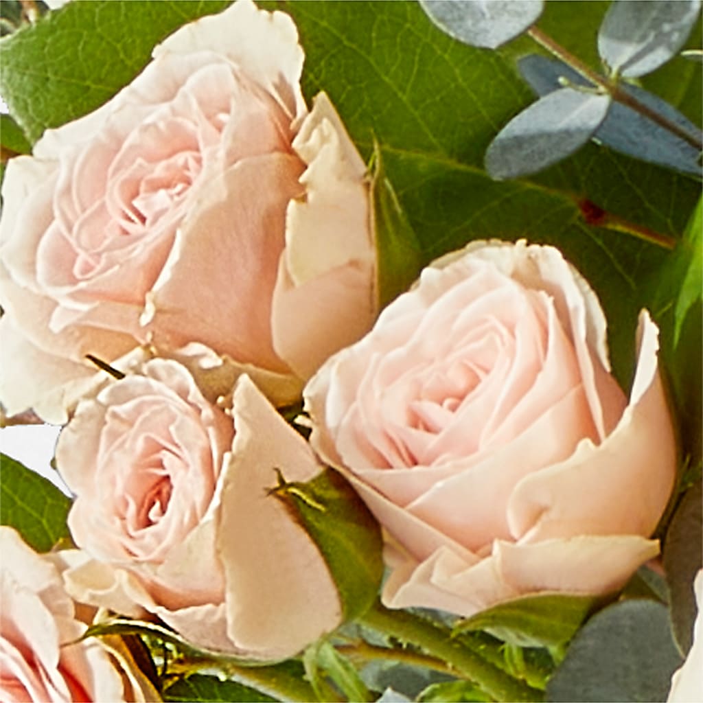 Inspired Bouquet –  Nextdayflowers.net, Tontitown AR
