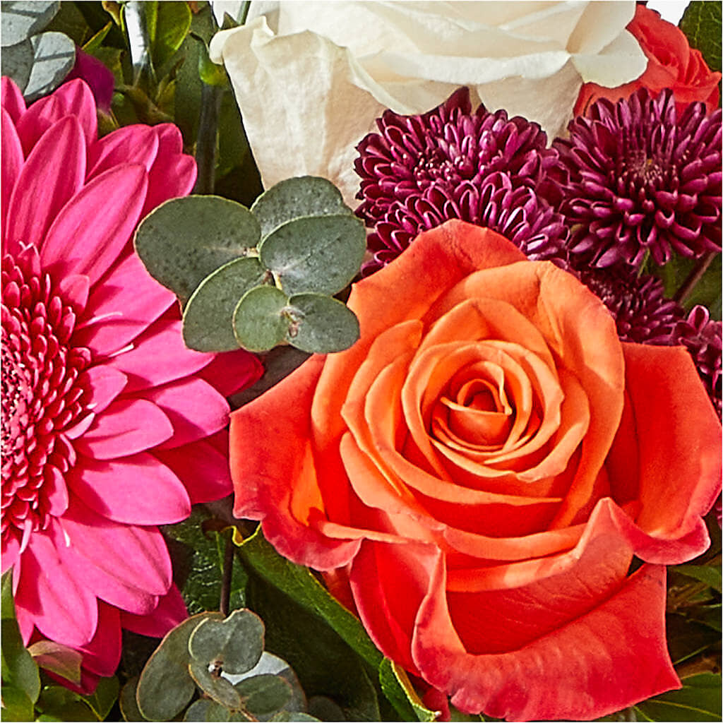 Smell the Roses Bouquet –  Nextdayflowers.net, Tontitown AR