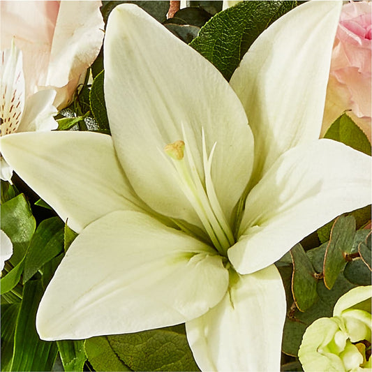 Ballet Slippers Bouquet –  Nextdayflowers.net, Tontitown AR