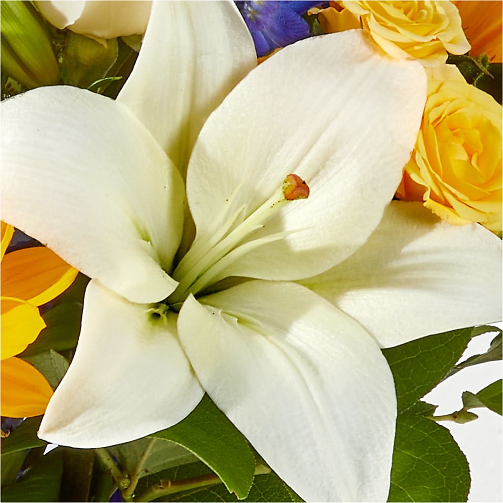 Wonderfully Sunny Bouquet –  Nextdayflowers.net, Tontitown AR