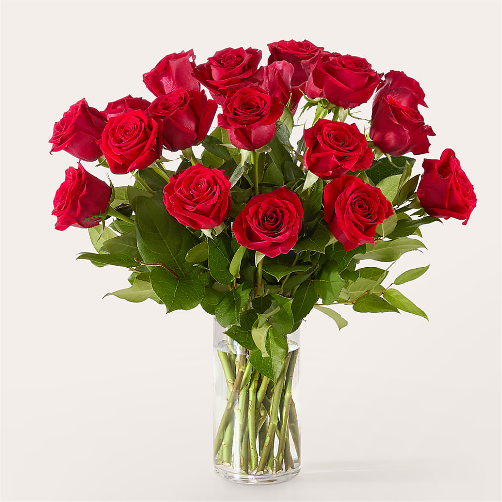 The One Red Rose Bouquet –  Nextdayflowers.net, Tontitown AR