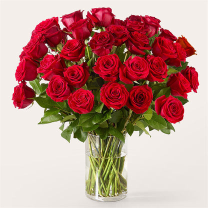 The One Red Rose Bouquet –  Nextdayflowers.net, Tontitown AR