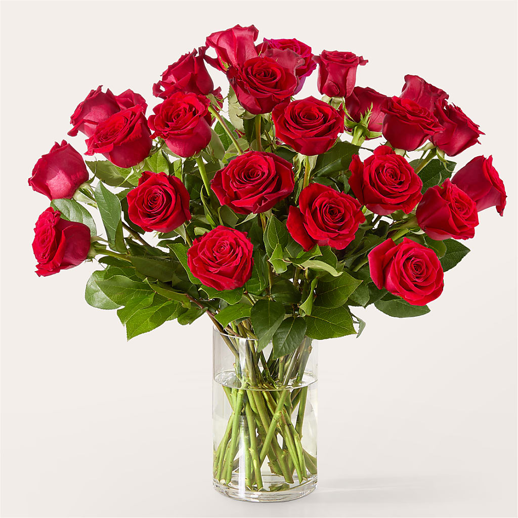 The One Red Rose Bouquet –  Nextdayflowers.net, Tontitown AR