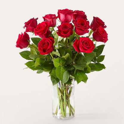 The One Red Rose Bouquet –  Nextdayflowers.net, Tontitown AR