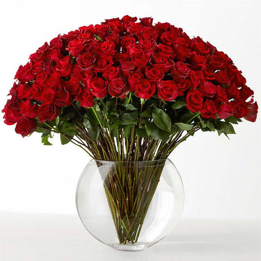 The Idealist –  Nextdayflowers.net, Tontitown AR