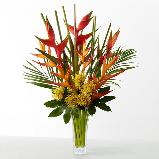 The Drama –  Nextdayflowers.net, Tontitown AR