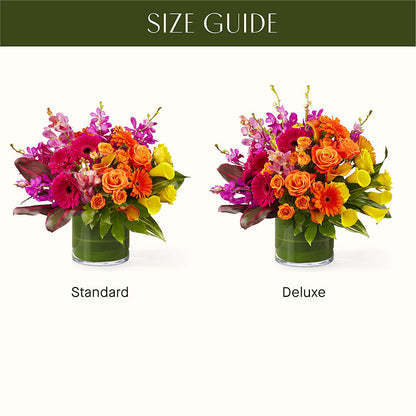 The Mosaic –  Nextdayflowers.net, Tontitown AR