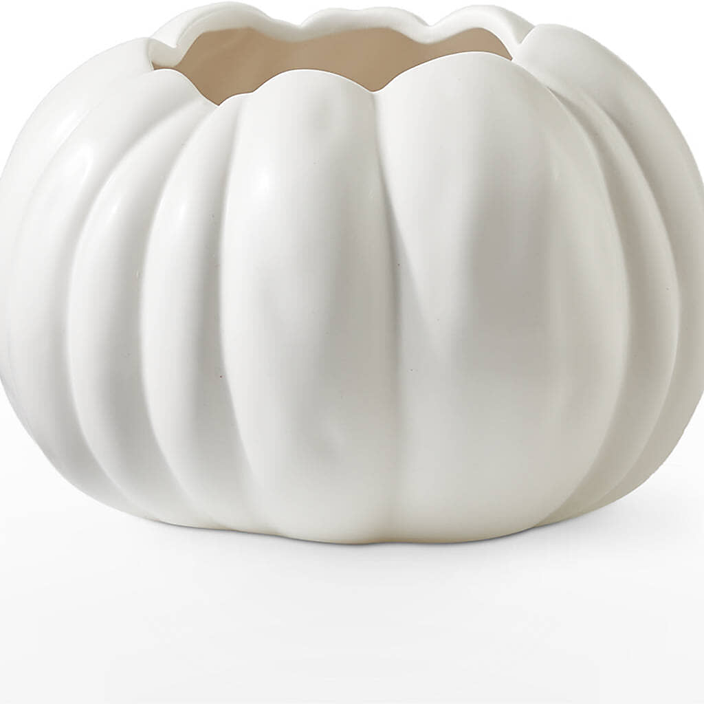 Autumn Air Pumpkin Bouquet –  Nextdayflowers.net, Tontitown AR