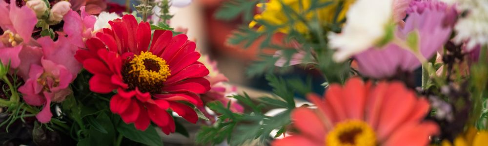 floristExpress_Image_1770916723084.jpeg